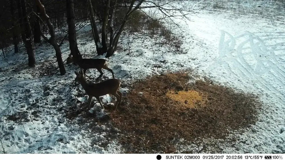 Caméra de chasse longue distance