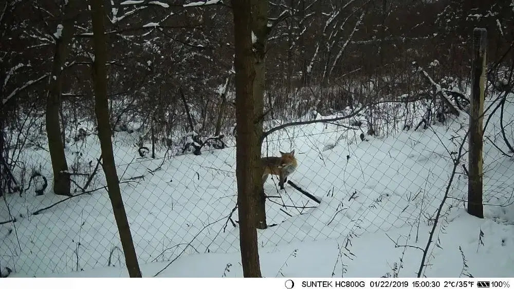 Caméra de chasse longue distance