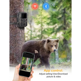 Ours brun photographié par une caméra de chasse connectée au téléphone