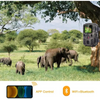 Herd of African elephants grazing in green grass captured by Caméra de chasse connectée