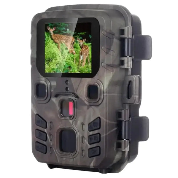 Caméra de chasse professionnel avec écran LCD affichant un cerf dans le feuillage