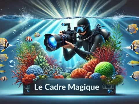 Plongez dans l’univers magique de la photographie sous-marine